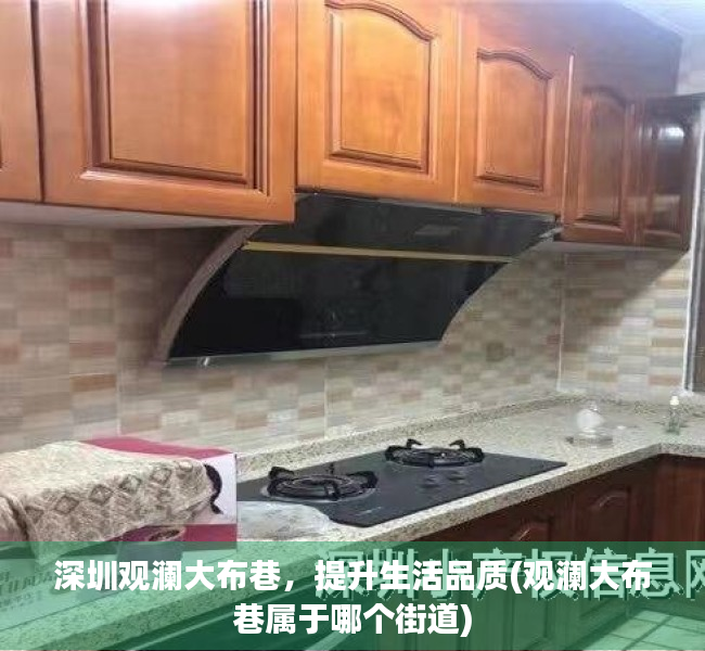 深圳观澜大布巷，提升生活品质(观澜大布巷属于哪个街道)