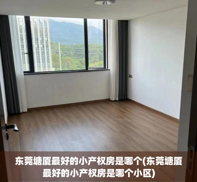 东莞塘厦最好的小产权房是哪个(东莞塘厦最好的小产权房是哪个小区) 东莞塘厦最好的小产权房是哪个(东莞塘厦最好的小产权房是哪个小区)