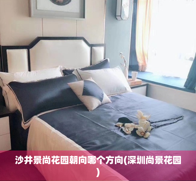 沙井景尚花园朝向哪个方向(深圳尚景花园)