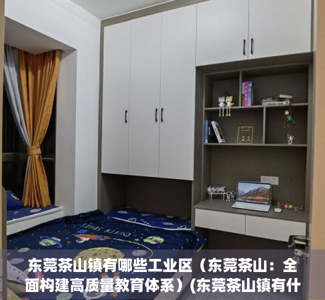 东莞茶山镇有哪些工业区（东莞茶山：全面构建高质量教育体系）(东莞茶山镇有什么大厂)