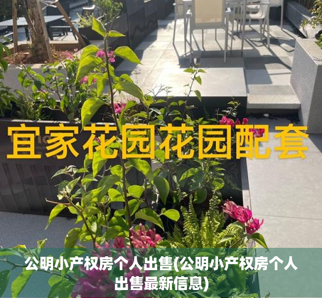 公明小产权房个人出售(公明小产权房个人出售最新信息) 公明小产权房个人出售(公明小产权房个人出售最新信息)