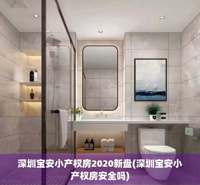 深圳宝安小产权房2020新盘(深圳宝安小产权房安全吗)