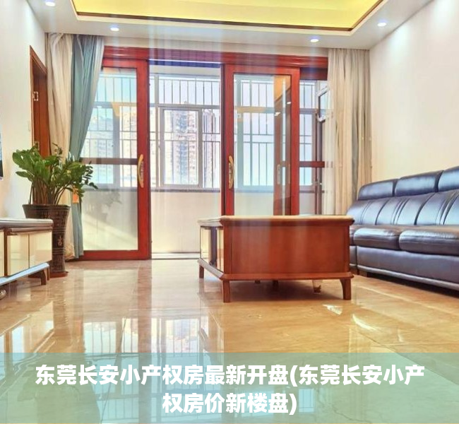 东莞长安小产权房最新开盘(东莞长安小产权房价新楼盘)