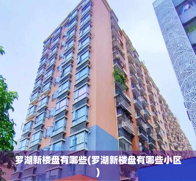 罗湖新楼盘有哪些(罗湖新楼盘有哪些小区)