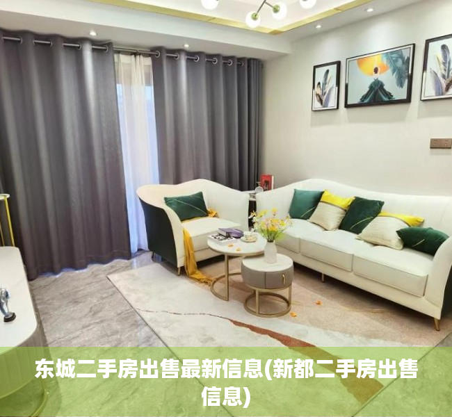 东城二手房出售最新信息(新都二手房出售信息) 东城二手房出售最新信息(新都二手房出售信息)