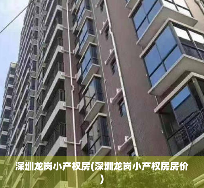 深圳龙岗小产权房(深圳龙岗小产权房房价)