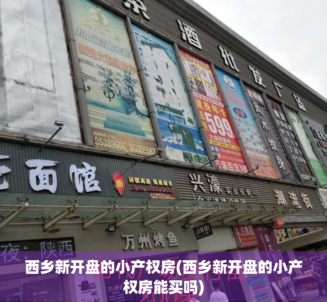 西乡新开盘的小产权房(西乡新开盘的小产权房能买吗)