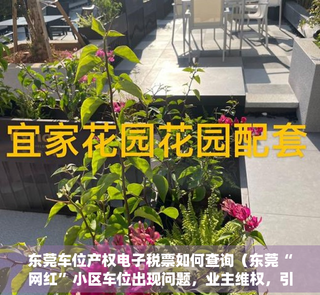 东莞车位产权电子税票如何查询（东莞“网红”小区车位出现问题，业主维权，引起群众关注！）