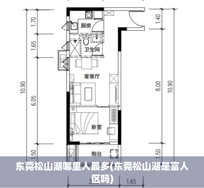 东莞松山湖哪里人最多(东莞松山湖是富人区吗)