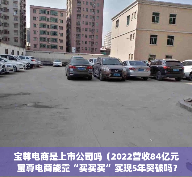 宝尊电商是上市公司吗（2022营收84亿元 宝尊电商能靠“买买买”实现5年突破吗？）