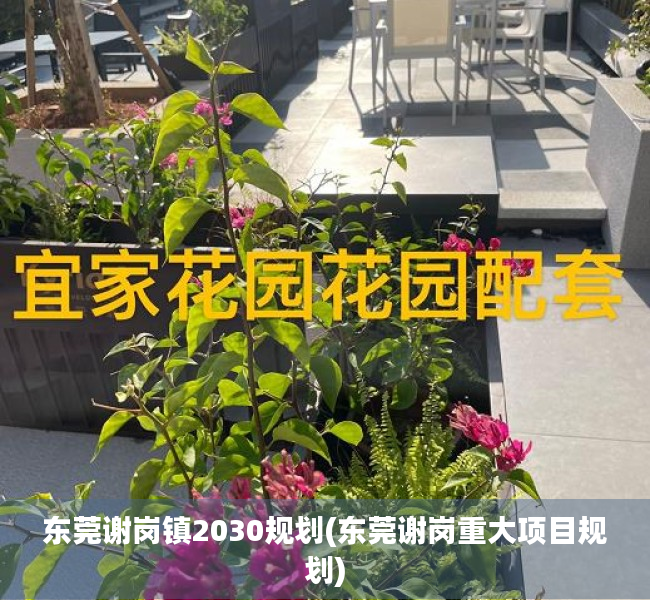 东莞谢岗镇2030规划(东莞谢岗重大项目规划)