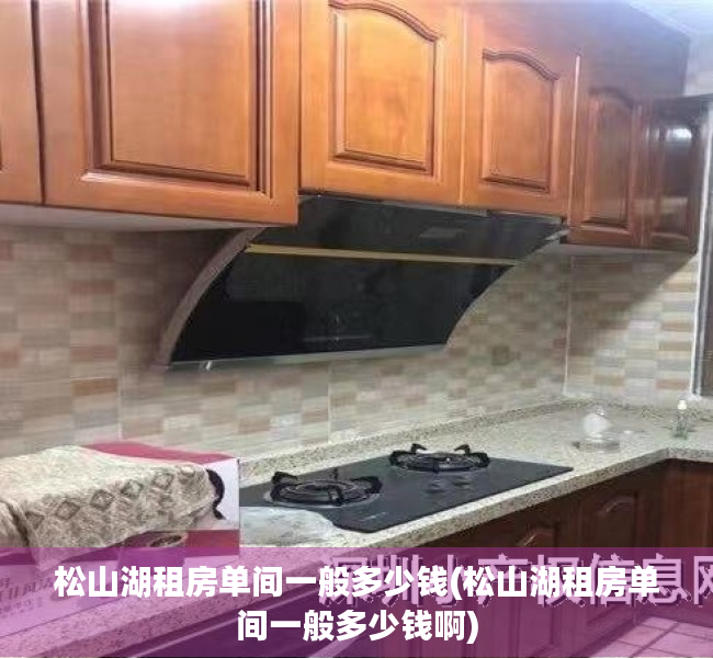 松山湖租房单间一般多少钱(松山湖租房单间一般多少钱啊)