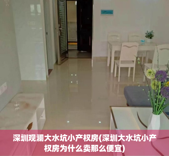 深圳观澜大水坑小产权房(深圳大水坑小产权房为什么卖那么便宜)
