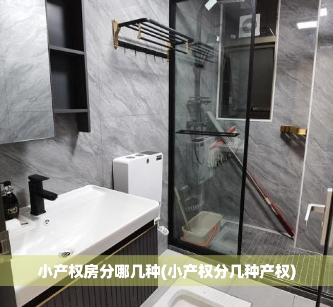 小产权房分哪几种(小产权分几种产权) 小产权房分哪几种(小产权分几种产权)