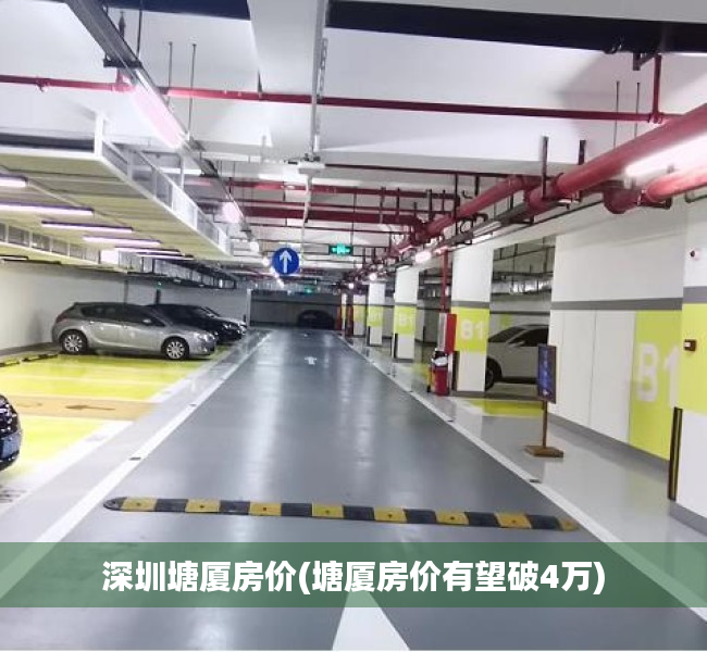 深圳塘厦房价(塘厦房价有望破4万) 深圳塘厦房价(塘厦房价有望破4万)