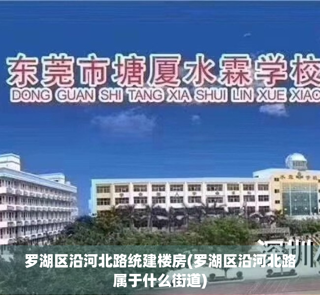 罗湖区沿河北路统建楼房(罗湖区沿河北路属于什么街道) 罗湖区沿河北路统建楼房(罗湖区沿河北路属于什么街道)