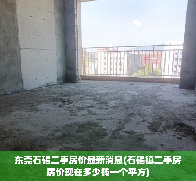 东莞石碣二手房价最新消息(石碣镇二手房房价现在多少钱一个平方) 东莞石碣二手房价最新消息(石碣镇二手房房价现在多少钱一个平方)