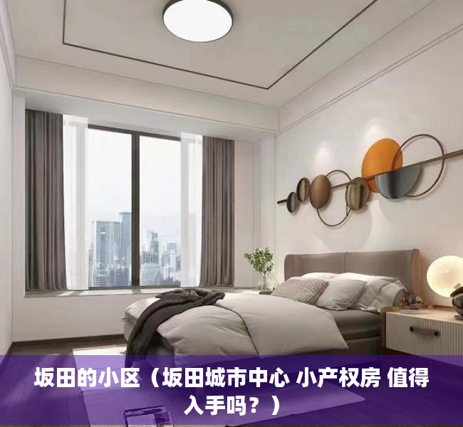 坂田的小区（坂田城市中心 小产权房 值得入手吗？）