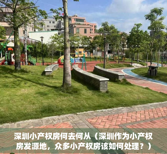 深圳小产权房何去何从（深圳作为小产权房发源地，众多小产权房该如何处理？）