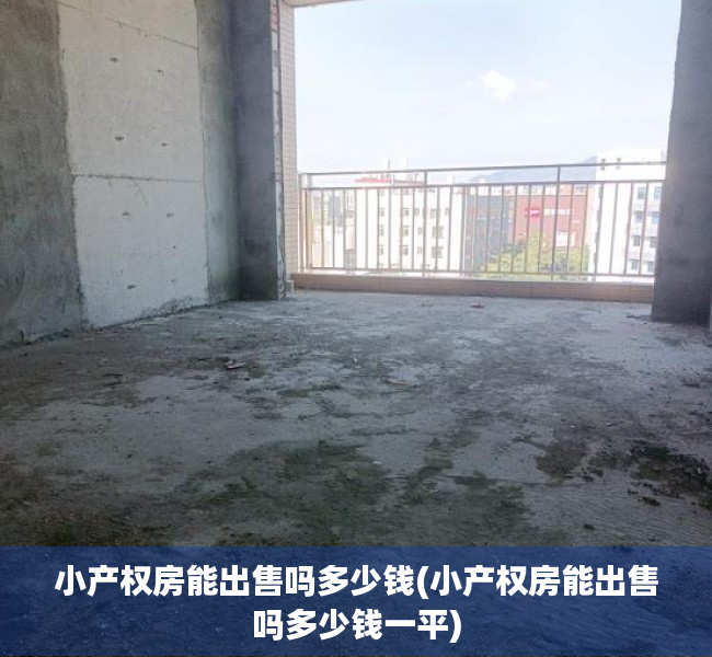 小产权房能出售吗多少钱(小产权房能出售吗多少钱一平) 小产权房能出售吗多少钱(小产权房能出售吗多少钱一平)