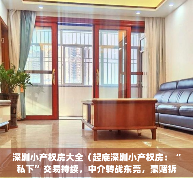 深圳小产权房大全（起底深圳小产权房：“私下”交易持续，中介转战东莞，豪赌拆迁补偿）