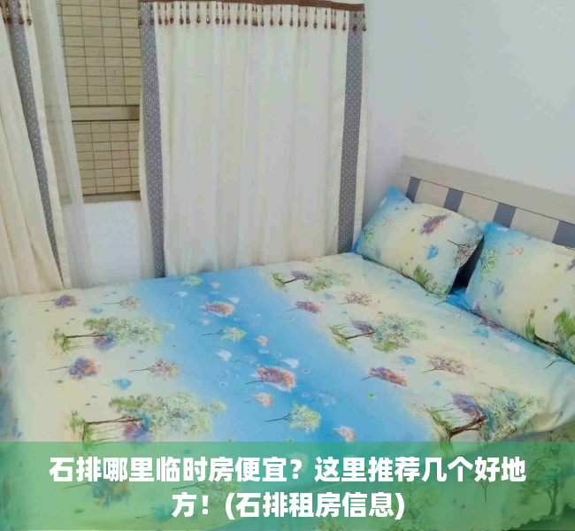 石排哪里临时房便宜？这里推荐几个好地方！(石排租房信息)