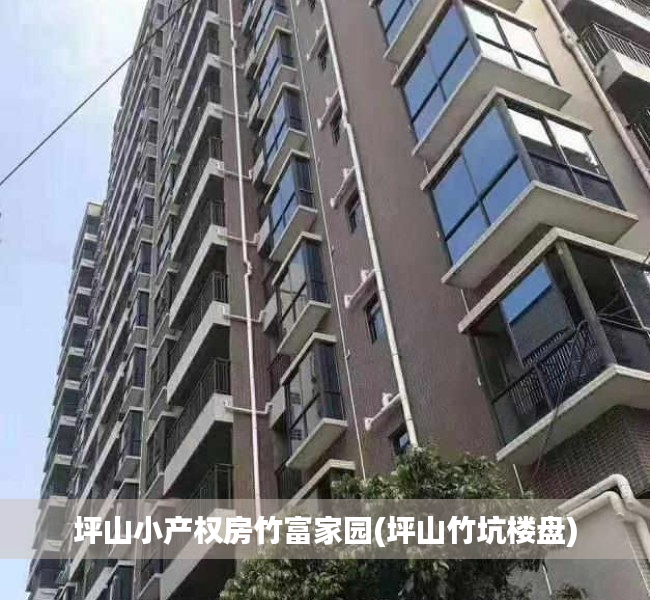 坪山小产权房竹富家园(坪山竹坑楼盘) 坪山小产权房竹富家园(坪山竹坑楼盘)