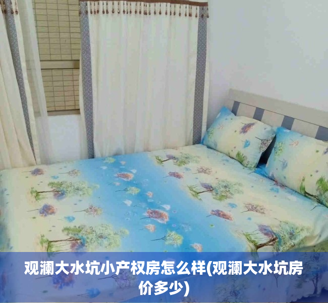 观澜大水坑小产权房怎么样(观澜大水坑房价多少)