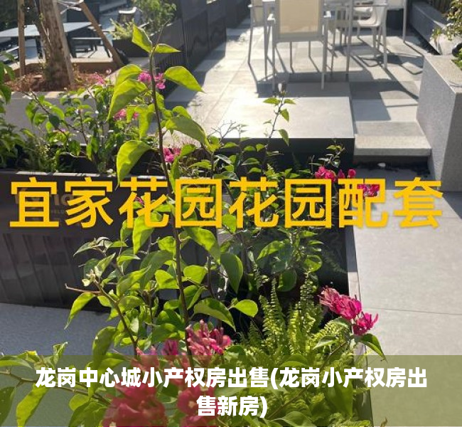 龙岗中心城小产权房出售(龙岗小产权房出售新房) 龙岗中心城小产权房出售(龙岗小产权房出售新房)