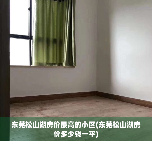 东莞松山湖房价最高的小区(东莞松山湖房价多少钱一平) 东莞松山湖房价最高的小区(东莞松山湖房价多少钱一平)