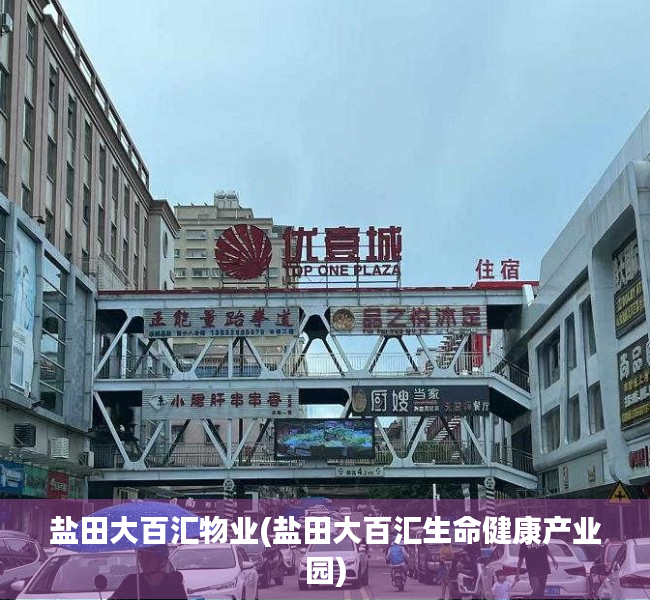 盐田大百汇物业(盐田大百汇生命健康产业园) 盐田大百汇物业(盐田大百汇生命健康产业园)
