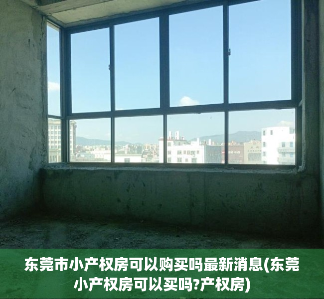 东莞市小产权房可以购买吗最新消息(东莞小产权房可以买吗?产权房)
