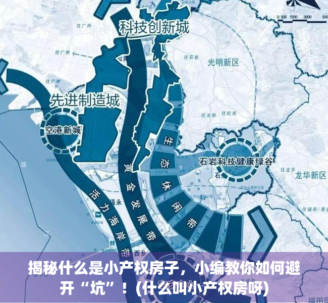 揭秘什么是小产权房子，小编教你如何避开“坑”！(什么叫小产权房呀)