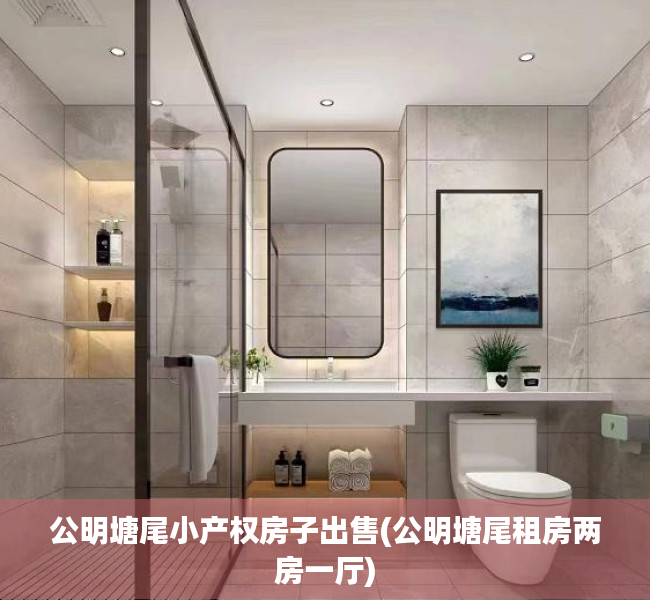 公明塘尾小产权房子出售(公明塘尾租房两房一厅)