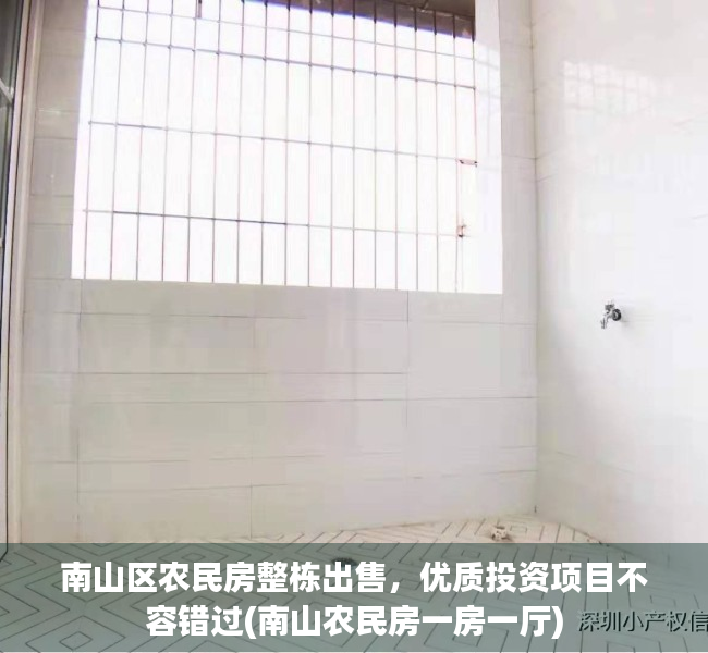 南山区农民房整栋出售，优质投资项目不容错过(南山农民房一房一厅)