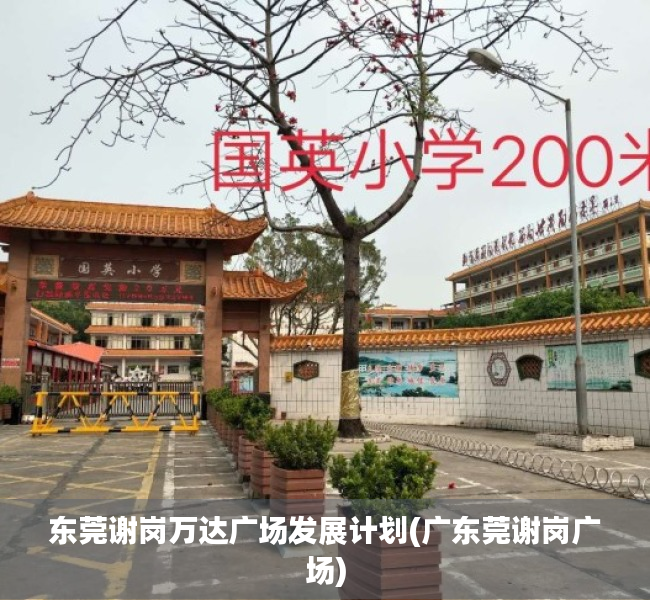 东莞谢岗万达广场发展计划(广东莞谢岗广场)