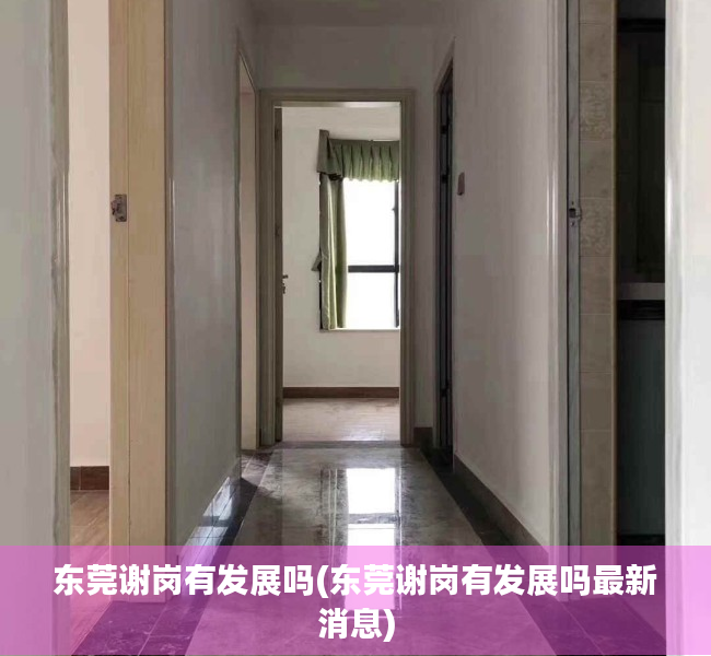 东莞谢岗有发展吗(东莞谢岗有发展吗最新消息) 东莞谢岗有发展吗(东莞谢岗有发展吗最新消息)