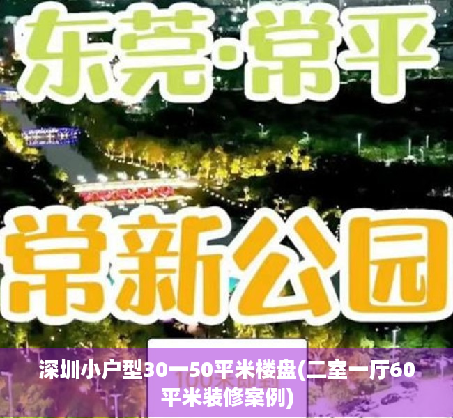 深圳小户型30一50平米楼盘(二室一厅60平米装修案例) 深圳小户型30一50平米楼盘(二室一厅60平米装修案例)