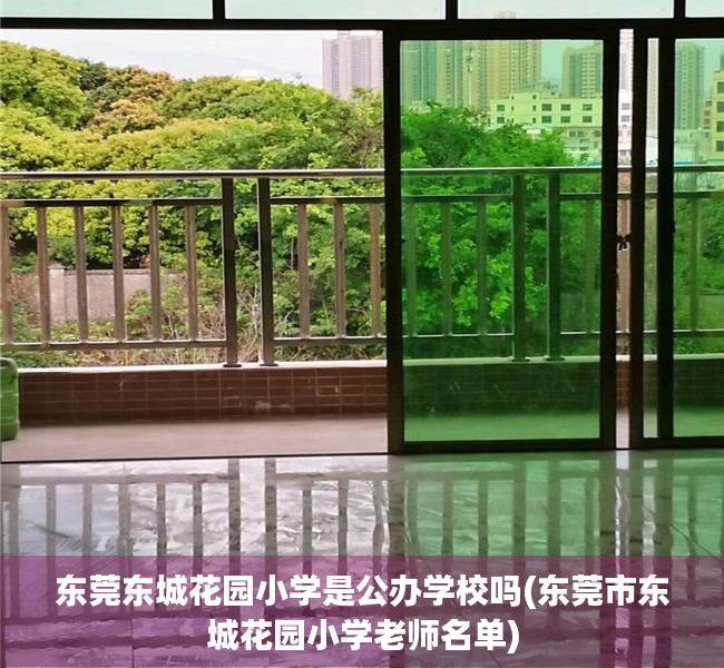 东莞东城花园小学是公办学校吗(东莞市东城花园小学老师名单)