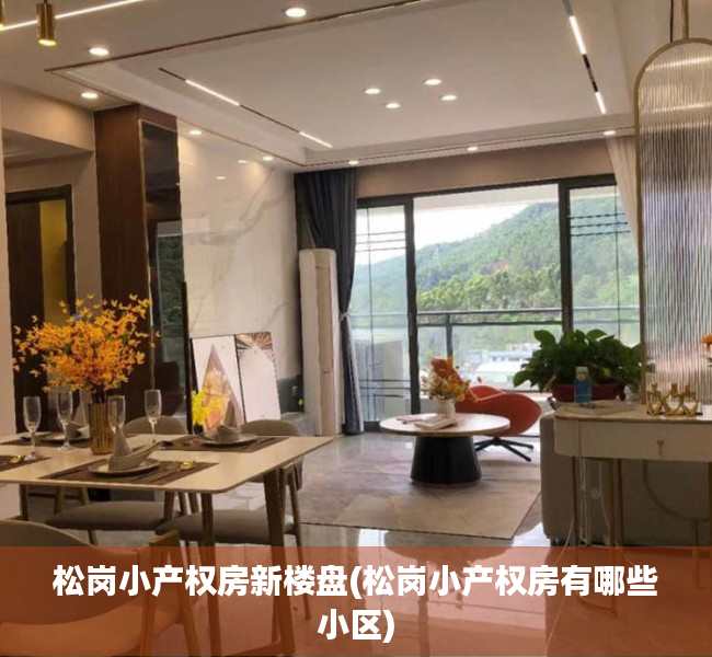 松岗小产权房新楼盘(松岗小产权房有哪些小区)