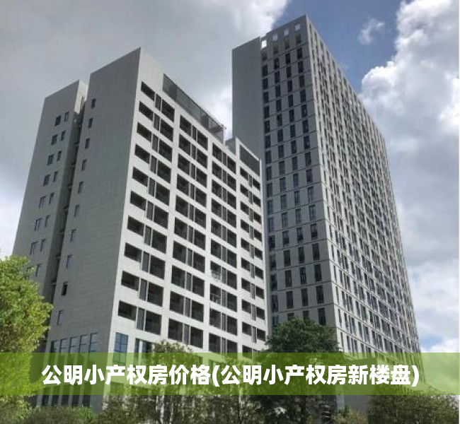 公明小产权房价格(公明小产权房新楼盘) 公明小产权房价格(公明小产权房新楼盘)