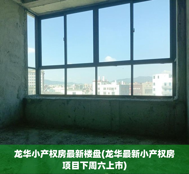 龙华小产权房最新楼盘(龙华最新小产权房项目下周六上市)