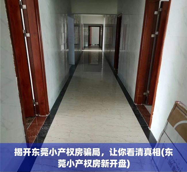 揭开东莞小产权房骗局，让你看清真相(东莞小产权房新开盘)