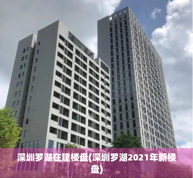 深圳罗湖在建楼盘(深圳罗湖2021年新楼盘)