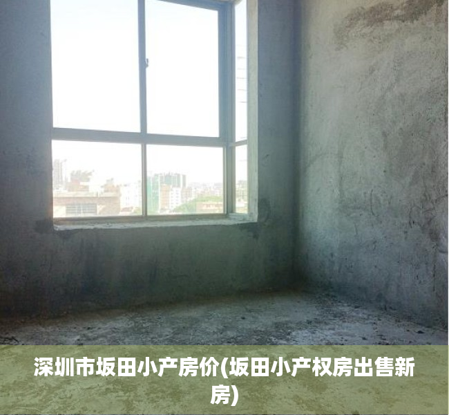 深圳市坂田小产房价(坂田小产权房出售新房) 深圳市坂田小产房价(坂田小产权房出售新房)