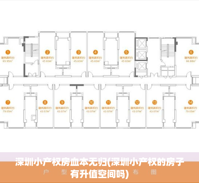 深圳小产权房血本无归(深圳小产权的房子有升值空间吗) 深圳小产权房血本无归(深圳小产权的房子有升值空间吗)