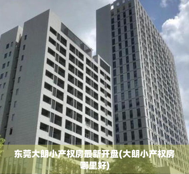 东莞大朗小产权房最新开盘(大朗小产权房哪里好)