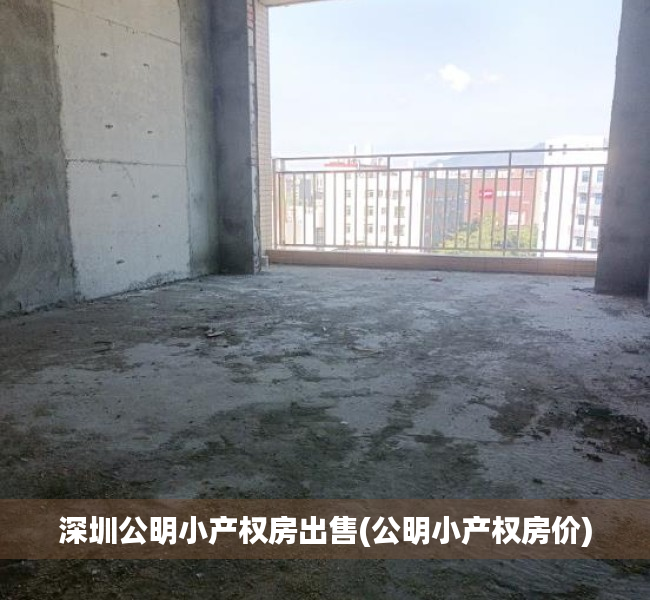 深圳公明小产权房出售(公明小产权房价) 深圳公明小产权房出售(公明小产权房价)
