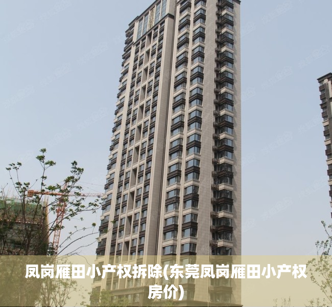 凤岗雁田小产权拆除(东莞凤岗雁田小产权房价)