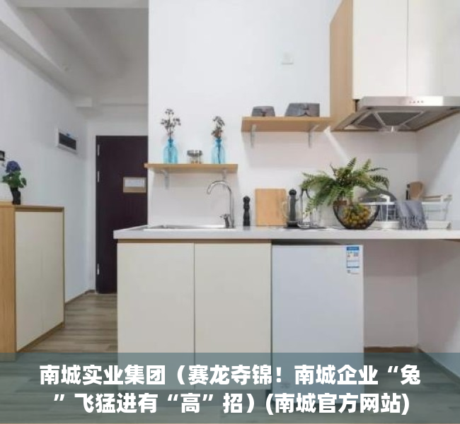 南城实业集团（赛龙夺锦！南城企业“兔”飞猛进有“高”招）(南城官方网站)